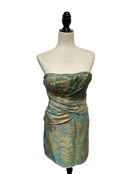 Strapless Silk  ecodyed Dress