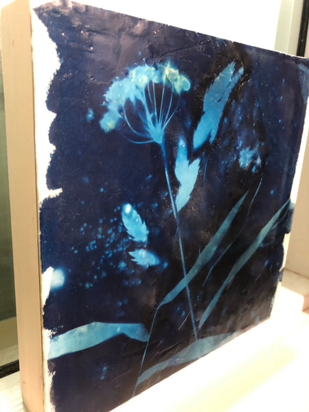 Cyanotype and encaustic on wood panel