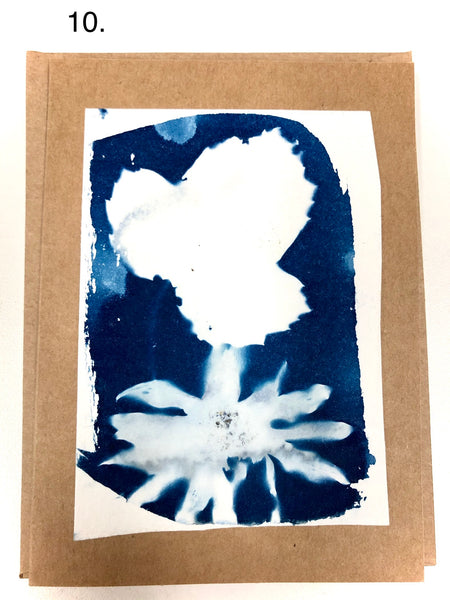 Cyanotypes cards with envelope