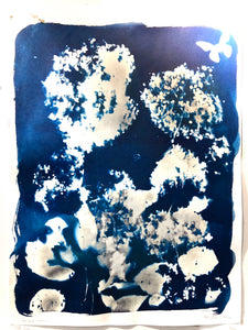 Cyanotype print 20”X24”