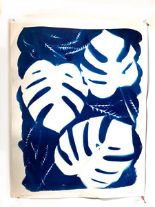 Cyanotype print 20”x24”